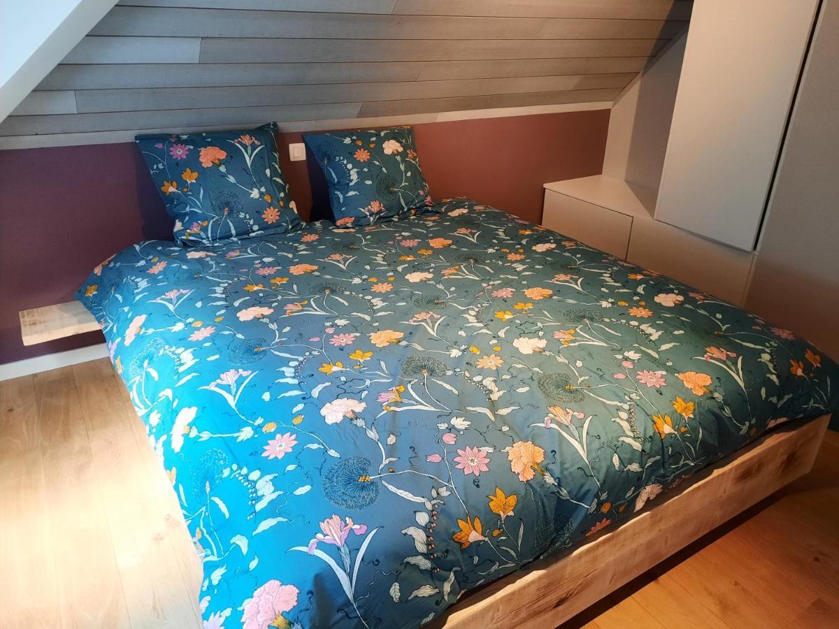 Superbe Appart' Bois De Fagne 马尔梅迪 外观 照片